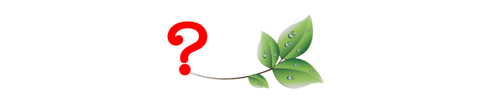 ARBATMEDIS, KURIO NĖRA arba KAIP ATSKIRTI GERĄ SPECIALISTĄ NUO…