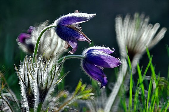Šis tas apie maisto papildus plačiau. II dalis