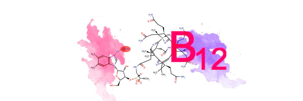 Cianokobalaminas: vitaminas B12 ar gestapo dujų kamera?